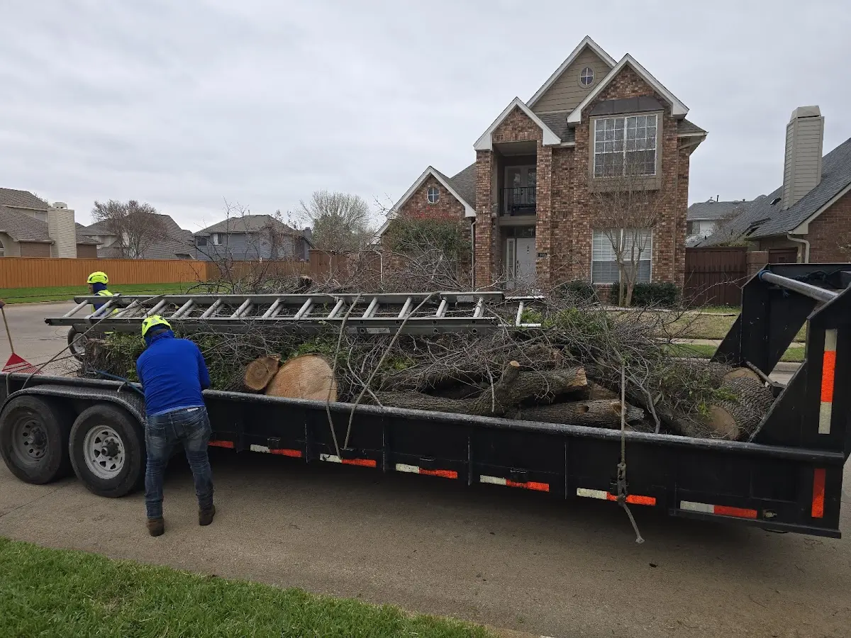 Expert Lot Clearing with proper safety equipment in Vanndale